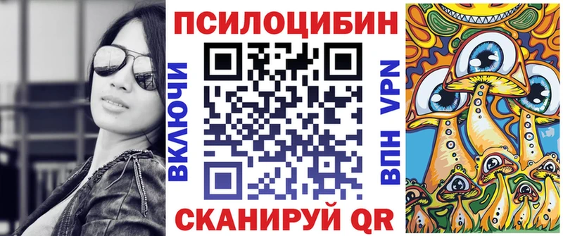 blacksprut зеркало  Альметьевск  Псилоцибиновые грибы MAGIC MUSHROOMS  что такое  